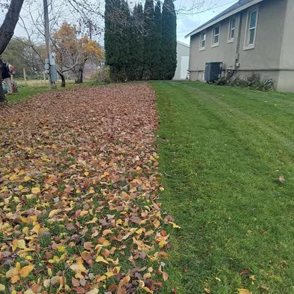 Lawn mid-cleanup showing accumulated fall leaves alongside a freshly cleared section