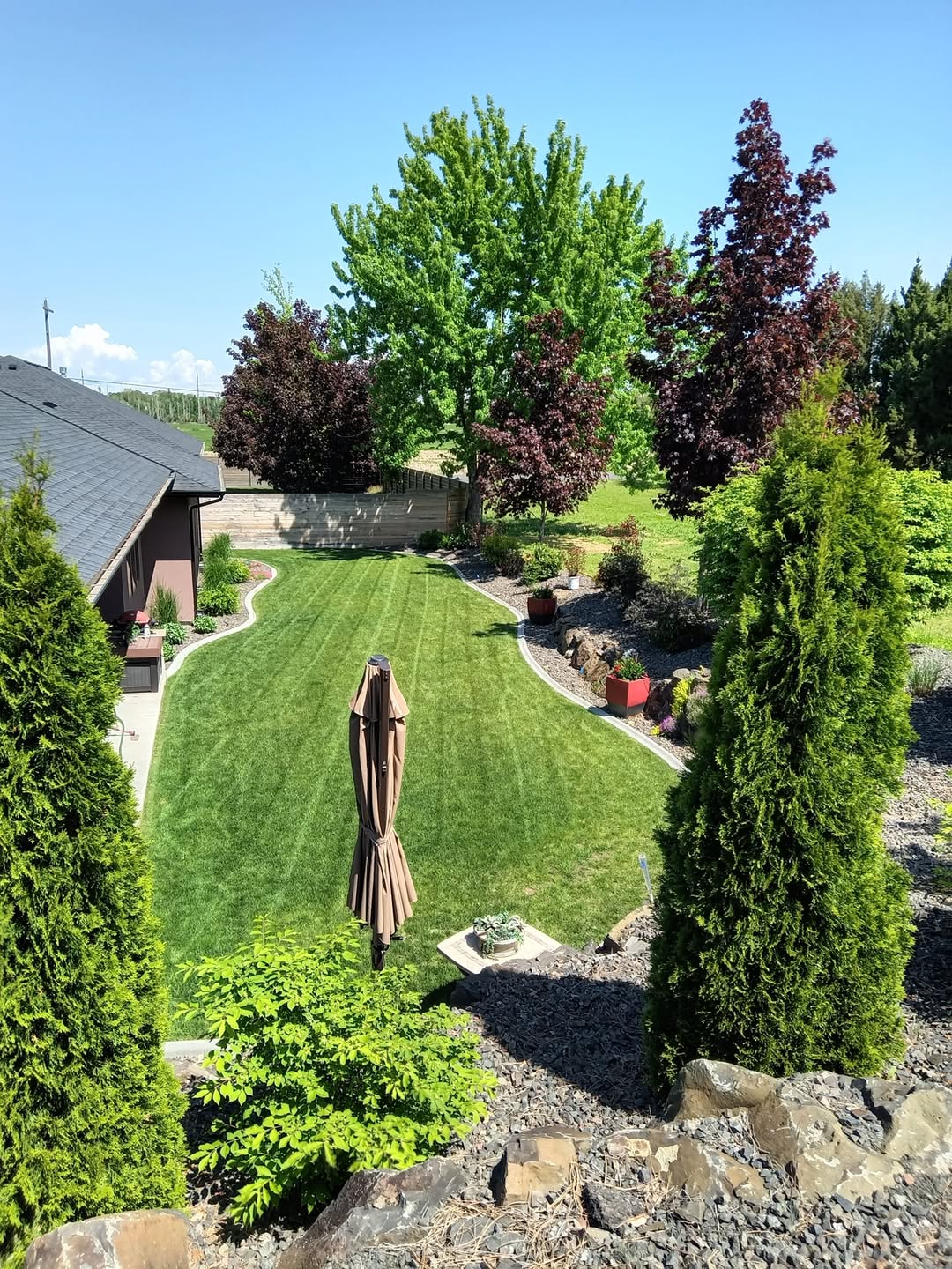 Striped, healthy backyard lawn framed by maintained trees and planting beds