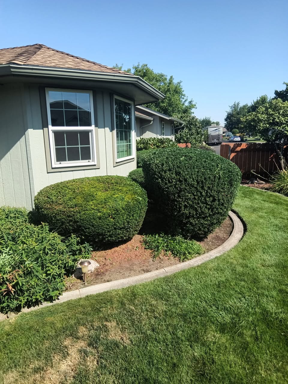 Trimmed residential shrubs surrounding a curved landscape bed